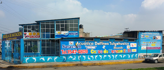 ACUATICA DELFINES TULYEHUALCO