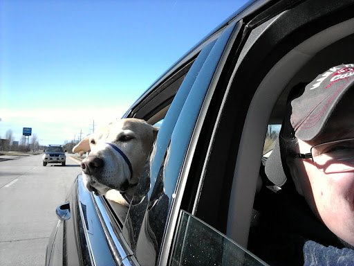 Self-Storage Facility «The Lock Up Self Storage», reviews and photos, 431 Ogden Ave, Lisle, IL 60532, USA
