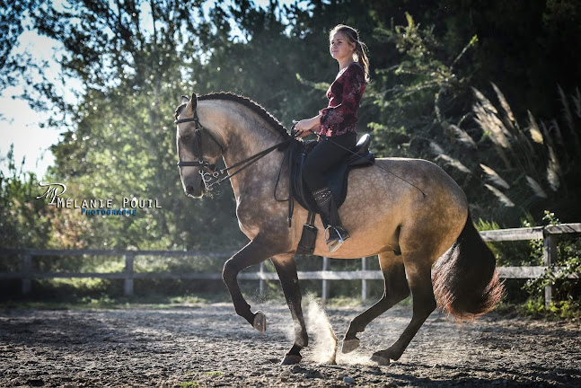 Opinii despre Melanie Pouil Photographe în Avignon - Photographe