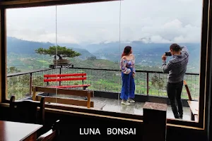 LUNA BONSAI / Parque del Bonsai image