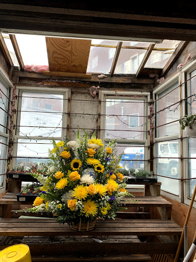 Florist «Brattle Square Florist», reviews and photos, 31 Brattle St, Cambridge, MA 02138, USA