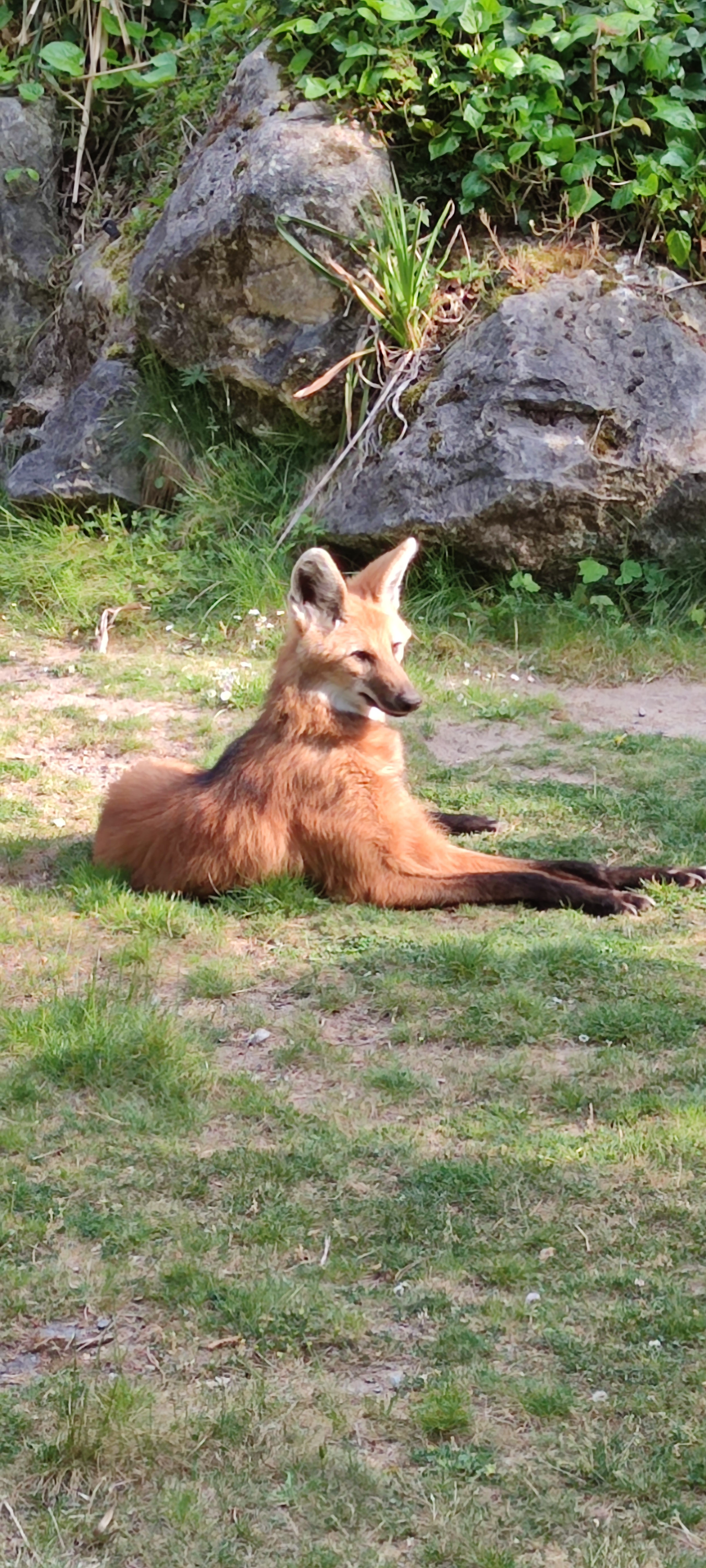 Photo n° 1 de l'avis de Magalie.o fait le 24/07/2021 à 15:03