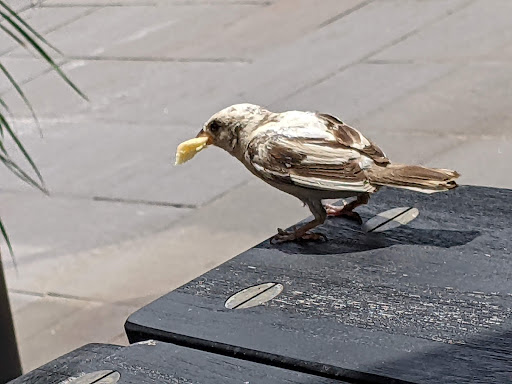 Supermarket «Fairway Market Red Hook», reviews and photos, 480-500 Van Brunt St, Brooklyn, NY 11231, USA