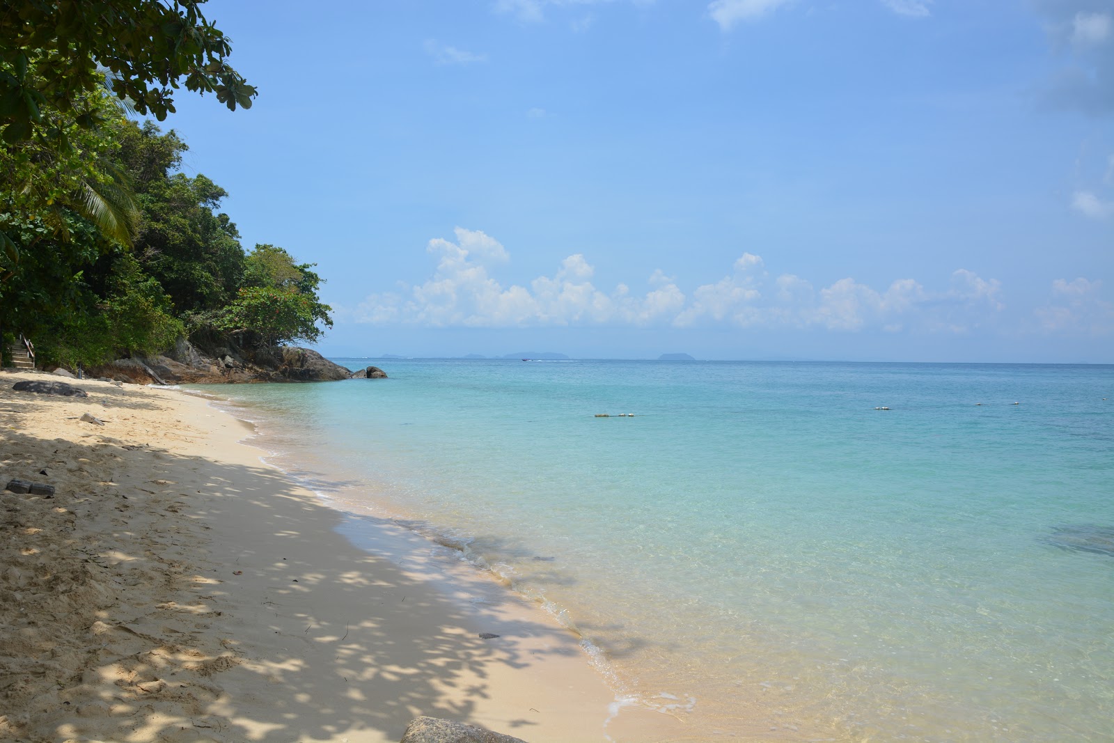 Zdjęcie Rainforest Beach z powierzchnią jasny piasek