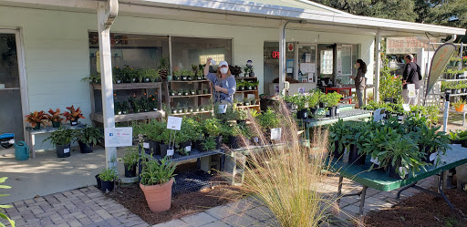 Plant Nursery «Wilcox Nursery», reviews and photos, 12501 Indian Rocks Rd, Largo, FL 33774, USA