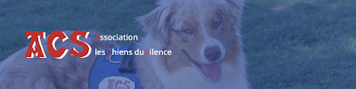 Les Chiens Du Silence à Escondeaux