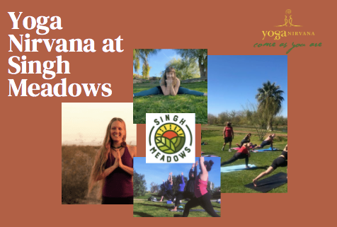 Yoga Nirvana Studio (YNS)
