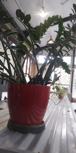 Laundromat «Spin Laundry Lounge», reviews and photos, 750 N Fremont St, Portland, OR 97227, USA