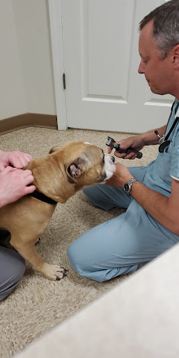 Hickory Small Animal Hospital Ponchatoula image