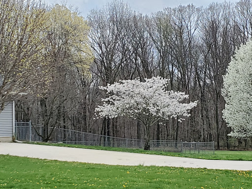 American Restaurant «Cracker Barrel Old Country Store», reviews and photos, 40 Frontage Rd, Lafayette, IN 47905, USA
