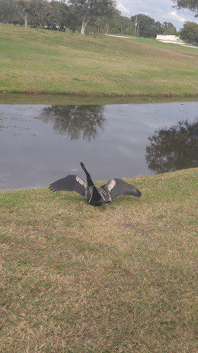 Golf Club «East Bay Golf Club», reviews and photos, 702 Country Club Dr, Largo, FL 33771, USA