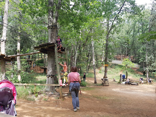 La Forêt des Écureuils à Saint-Vincent-le-Paluel