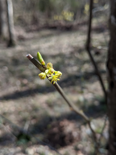 Nature Preserve «Hemlock Bluffs Nature Preserve», reviews and photos, 2616 Kildaire Farm Rd, Cary, NC 27511, USA
