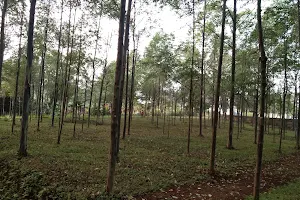 Hutan Kota Pakansari image