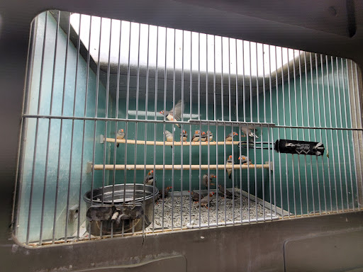 Pet Store «Southside Aquatics», reviews and photos, 2039 Pleasanton Rd, San Antonio, TX 78221, USA