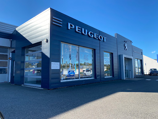 Photo 4 - Auto Puzzle