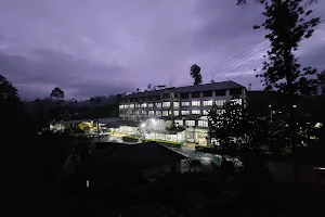 Abbotsleigh Tea Estate image