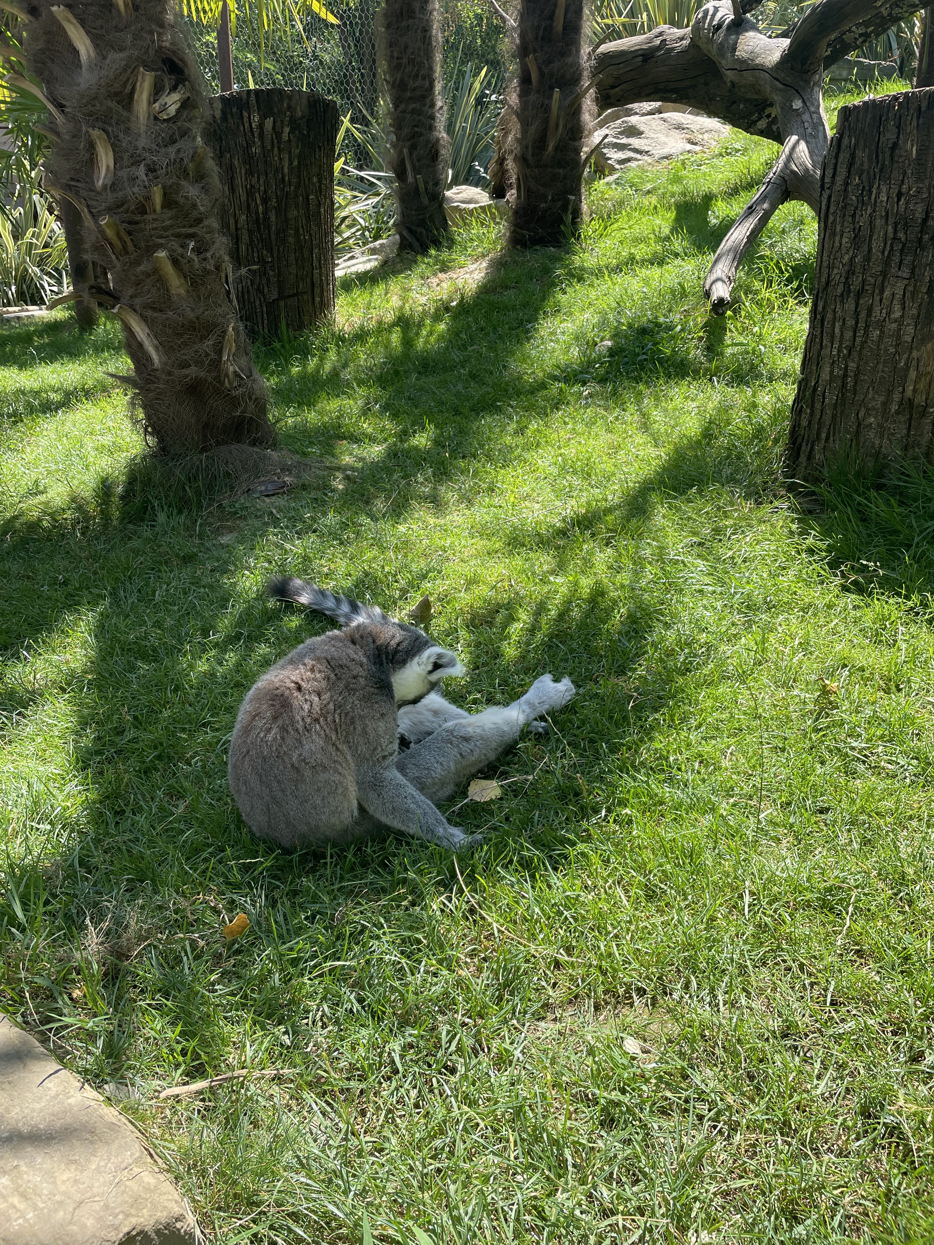 Photo n° 23 de l'avis de Gregory.G fait le 01/08/2022 à 10:31