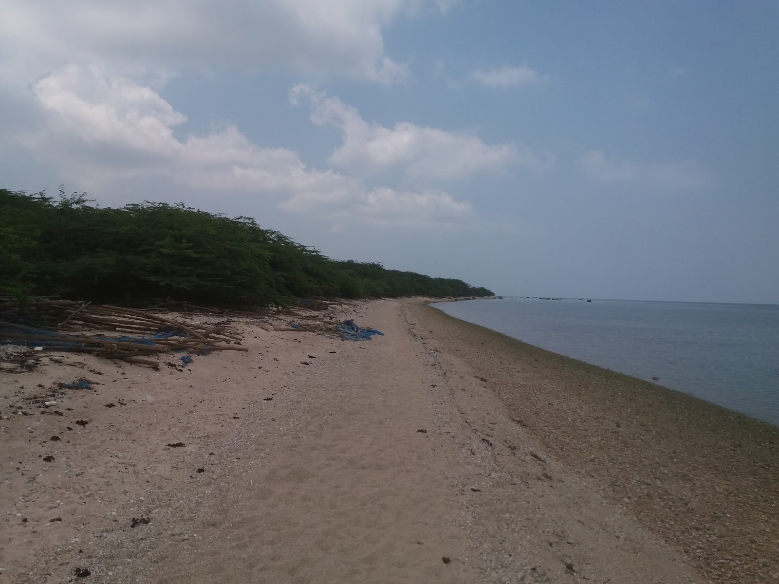 Brisy Beach photo #7