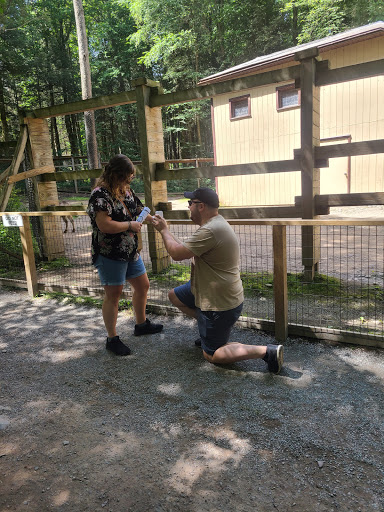 Jeweler «David Jay Jewelers», reviews and photos, 1589 N Main St, Warrington, PA 18976, USA