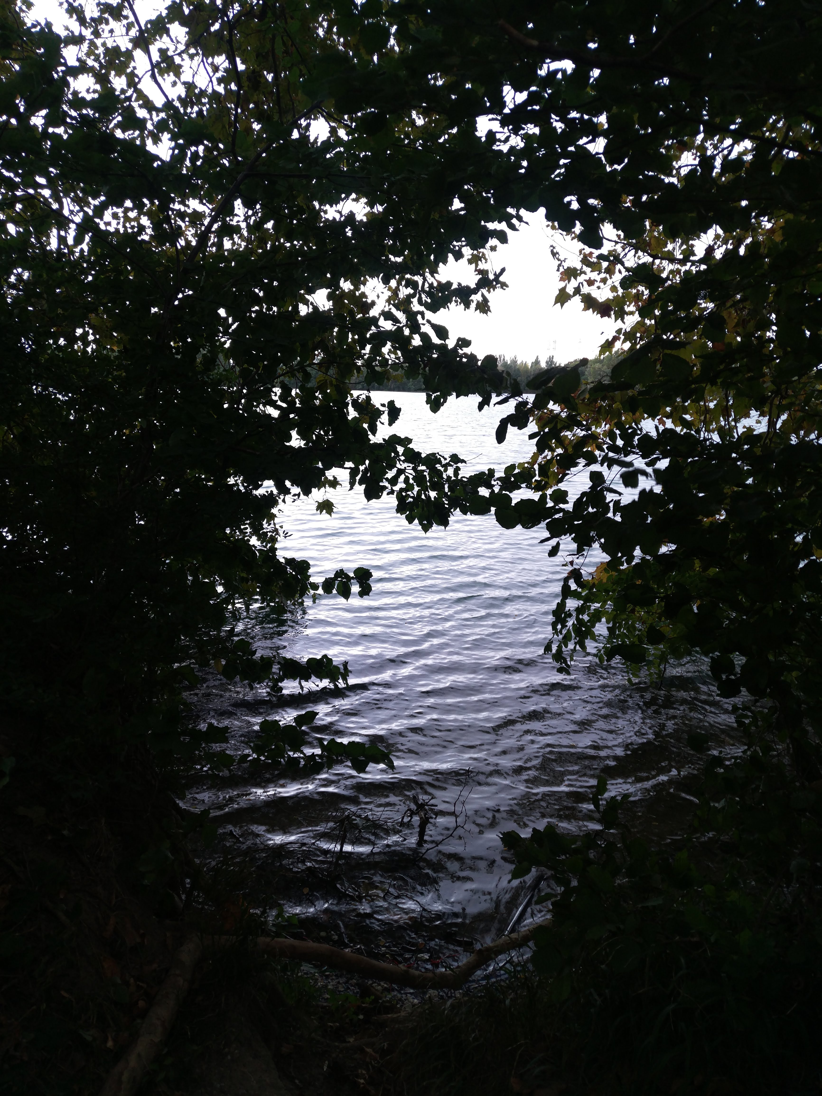 Photo n° 1 de l'avis de Aurélia.e fait le 01/10/2019 à 16:09