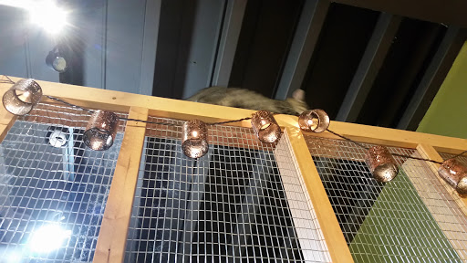 Pet Store «Next to Nature», reviews and photos, 4543 California Ave SW, Seattle, WA 98116, USA