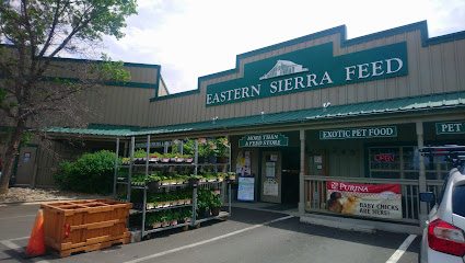 Eastern Sierra Feed