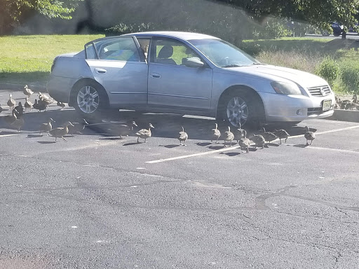 Hardware Store «Harbor Freight Tools», reviews and photos, 5200 E Black Horse Pike, Blackwood, NJ 08012, USA