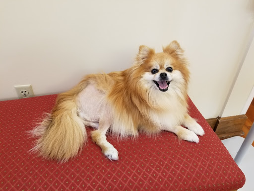 506 W Seminary Ave, Lutherville, MD 21093, USA