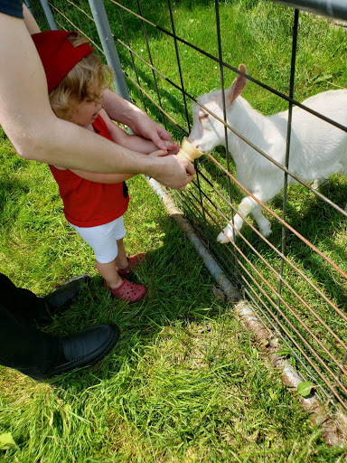 Zoo «The Petting Zoo at Breezeway Farm», reviews and photos, 161 Anawana Lake Road, Monticello, NY 12701, USA