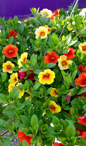 Hardware Store «Scholze Ace Home Center», reviews and photos, 133 County Rd A, Black River Falls, WI 54615, USA