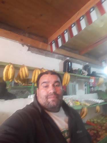 Opiniones de Verduleria el gordo rico en Puente Alto - Frutería