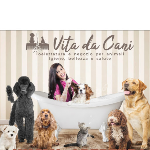 Pensioni per cani e dog hotel a Vita da cani di Marialaura Malfitano