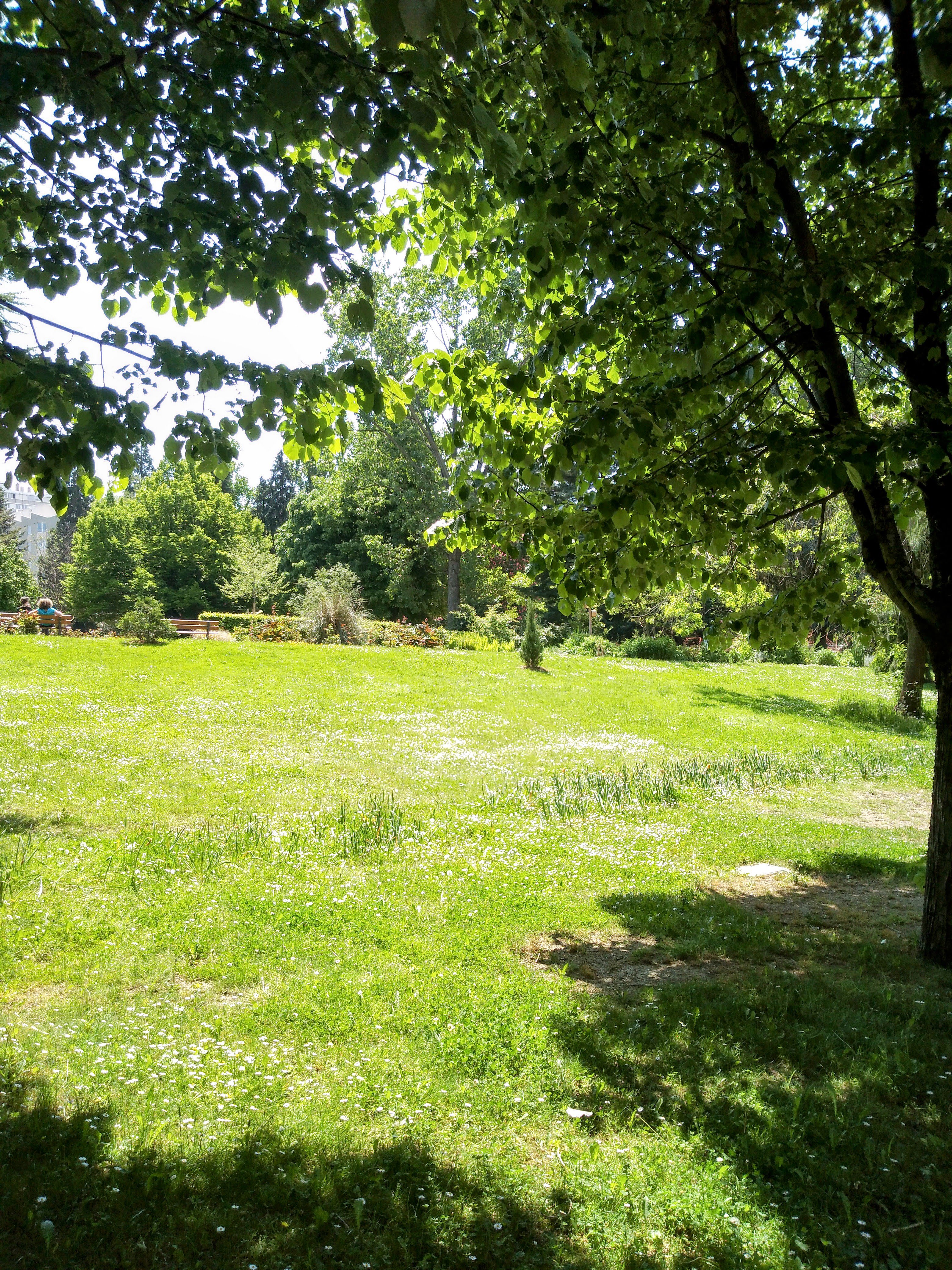 Photo n° 8 de l'avis de Harry.j fait le 12/05/2022 à 15:07