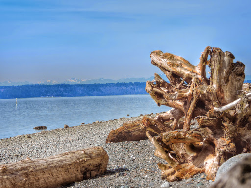 Park «Marine View Park», reviews and photos, 20945 Marine View Dr SW, Normandy Park, WA 98166, USA