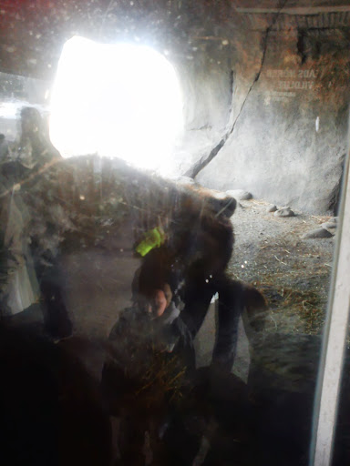 Golf Club «Safari Golf Club», reviews and photos, 4850 W Powell Rd, Powell, OH 43065, USA