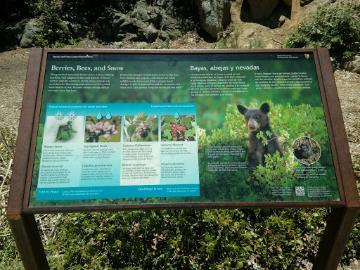 National Park «Kings Canyon National Park», reviews and photos