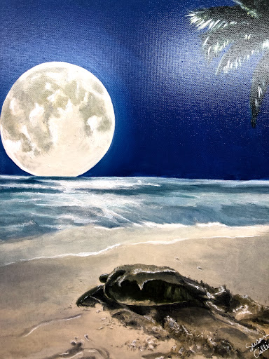 Boutique «Coast Boutique», reviews and photos, 229 Commercial Blvd, Lauderdale-By-The-Sea, FL 33308, USA