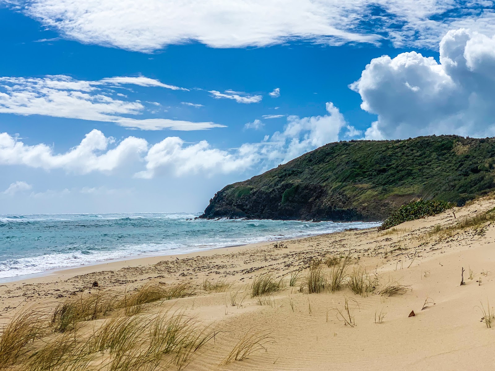 Foto di Isaacs Bay beach con baia media