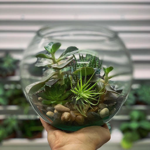 Florist «The Flower Bucket», reviews and photos, 7700 N Lamar Blvd, Austin, TX 78752, USA