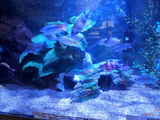 Pet Store «Valley Pets», reviews and photos, 6380 US-85, Fountain, CO 80817, USA