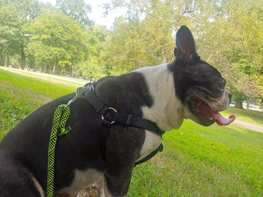 Park «Brookdale Park», reviews and photos, 473 Watchung Ave, Bloomfield, NJ 07003, USA