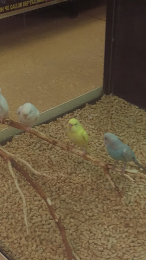 Pet Supply Store «PetSmart», reviews and photos, 1919 Wells Rd, Orange Park, FL 32073, USA