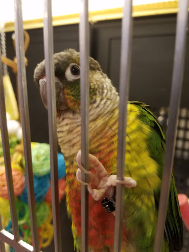 Pet Supply Store «PetSmart», reviews and photos, 16257 N Scottsdale Rd, Scottsdale, AZ 85254, USA