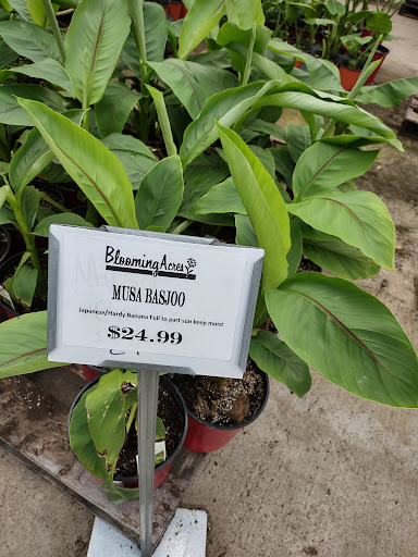 Plant Nursery «Blooming Acres», reviews and photos, 7561 State Rd, Wadsworth, OH 44281, USA