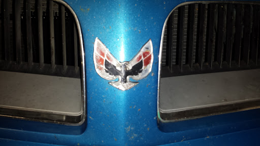 Dollar Store «FAMILY DOLLAR», reviews and photos, 168 E Main St, Taylorsville, KY 40071, USA