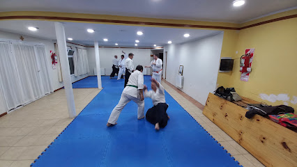 Aikido - Hikari Dojo - Asociación Patagónica de Aikido