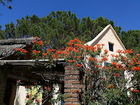 Chalets del Bosque