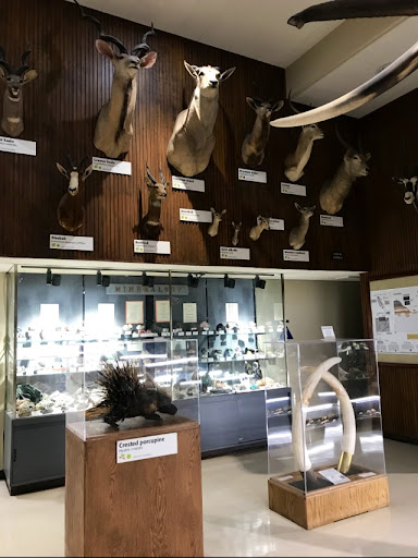 Museum «Sierra College Natural History Museum», reviews and photos, 5000 Rocklin Rd, Rocklin, CA 95677, USA