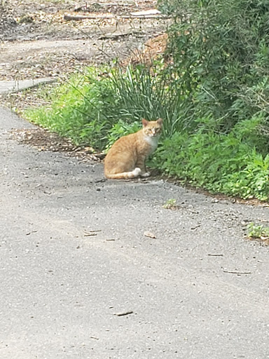 Park «Cantiague Park», reviews and photos, 480 W John St, Hicksville, NY 11801, USA